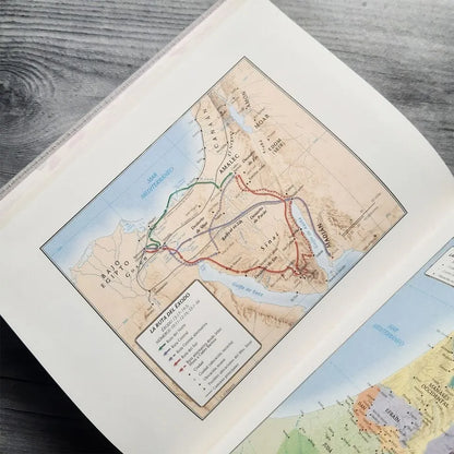 Biblia de Apuntes RVR60 Gris/Floral