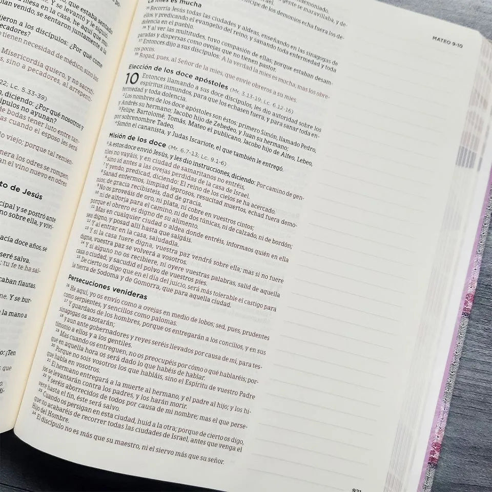 Biblia de Apuntes RVR60 Gris/Floral