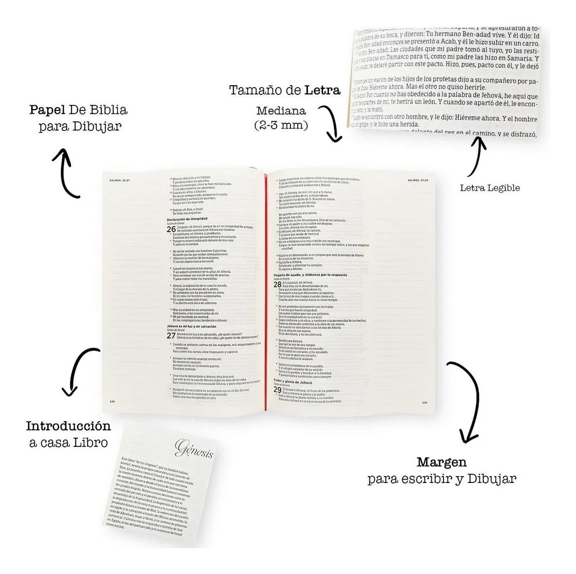 Biblia de Apuntes RVR60 Gris/Floral