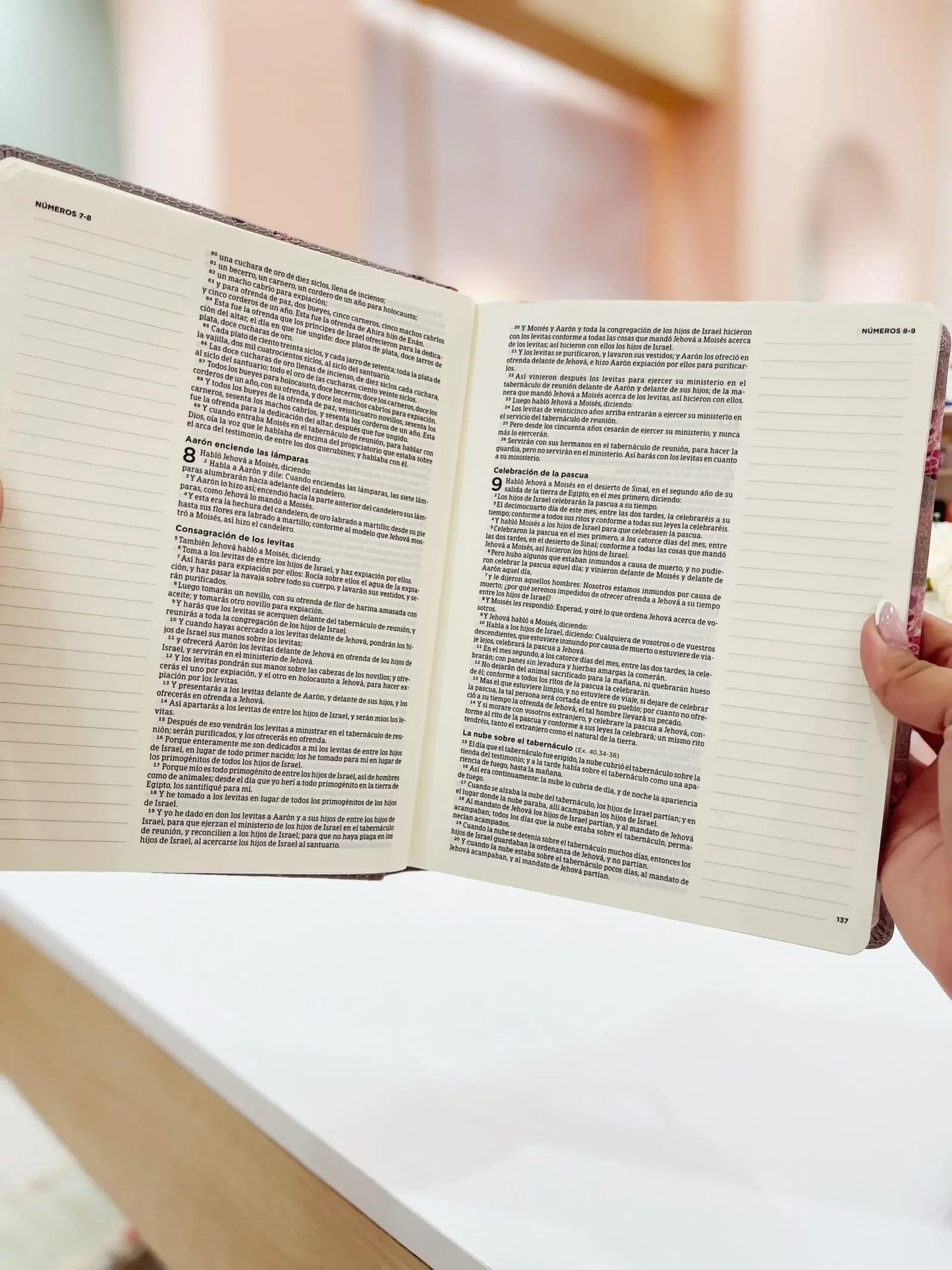 Biblia de Apuntes RVR60 Gris/Floral